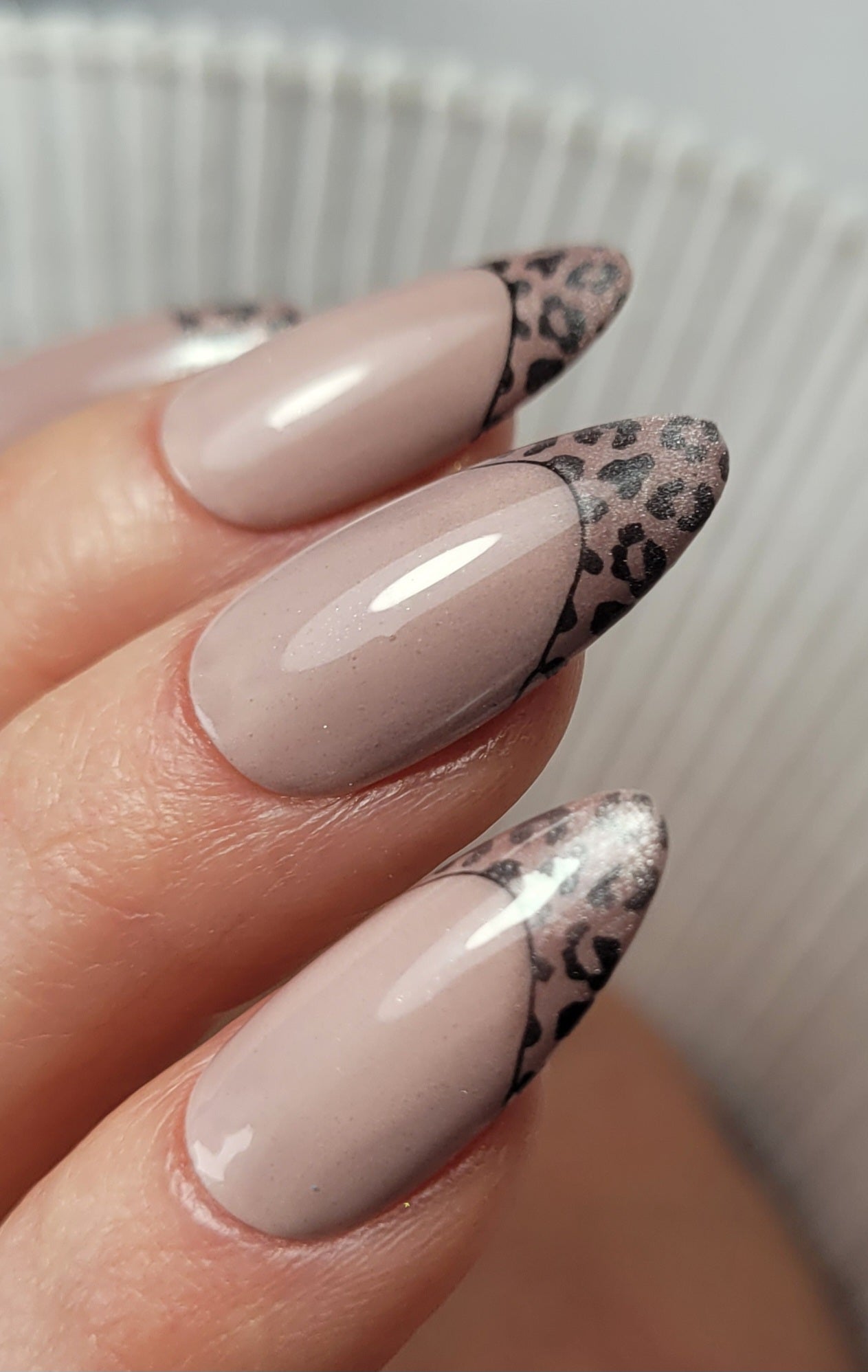 Nude Safari