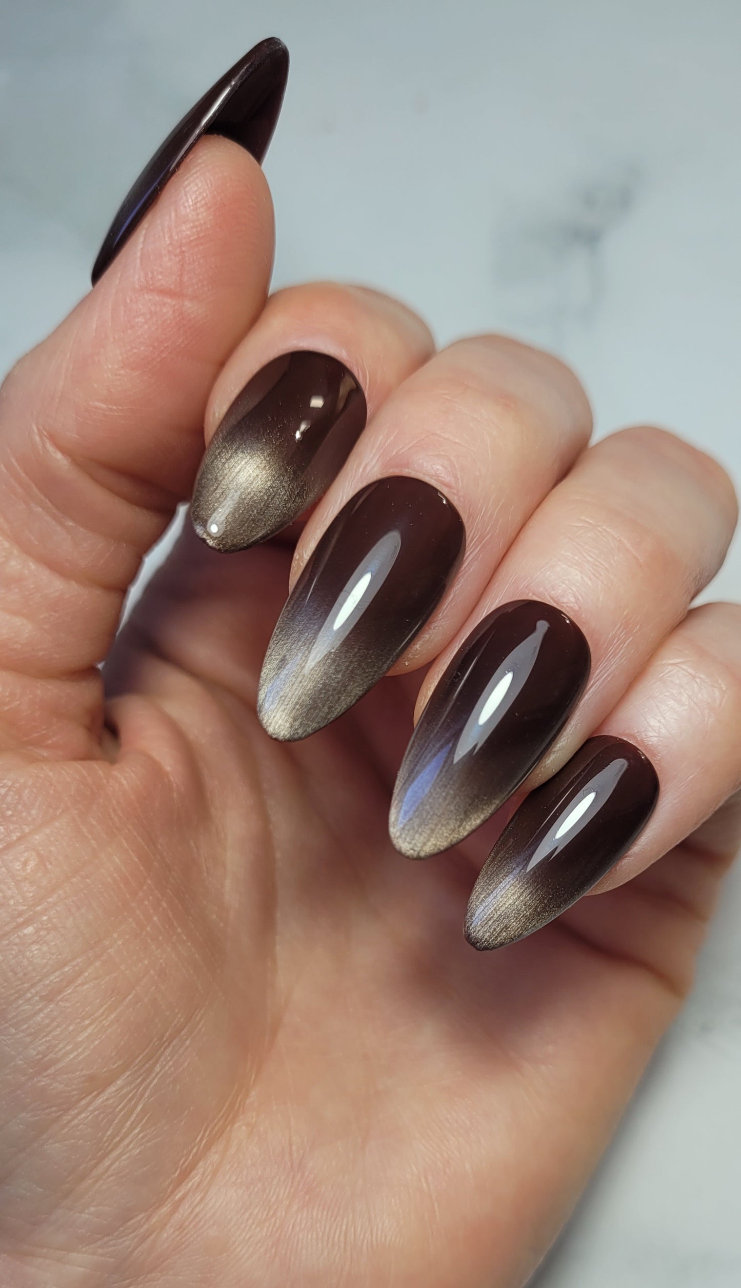 Chocolate Cat-Eye