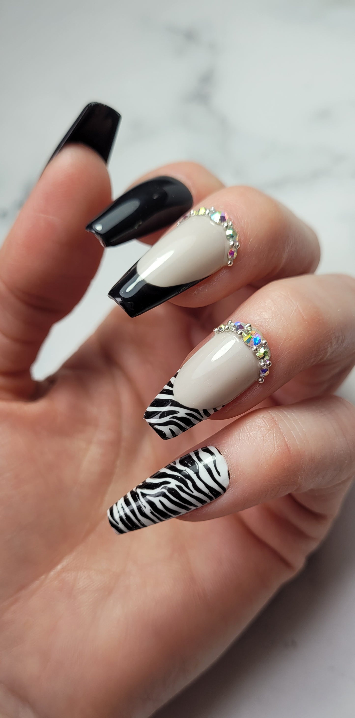 Black Zebra