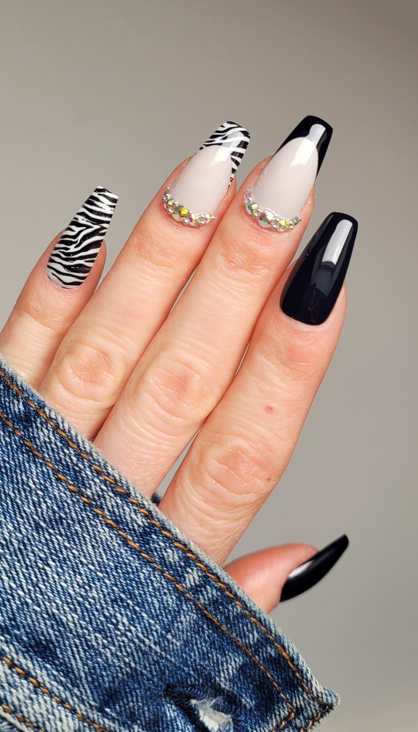 Black Zebra