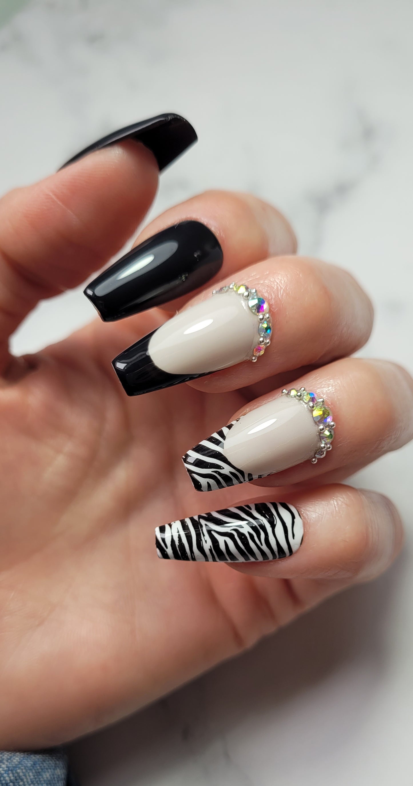 Black Zebra