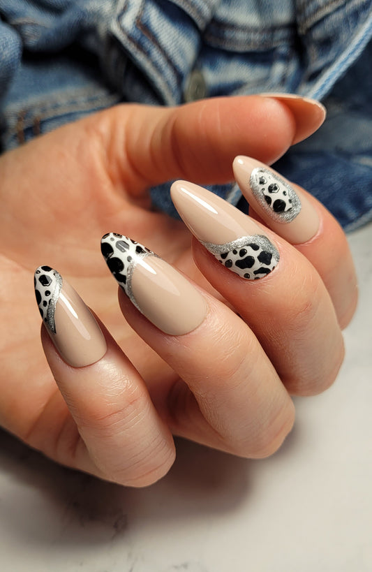 Dalmatian Luxe